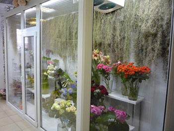 Холодильные витрины для цветов